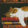 Cute Sleepy Cat And Books Diamond Painting