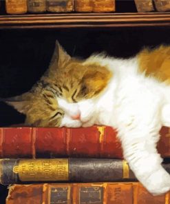 Cute Sleepy Cat And Books Diamond Painting