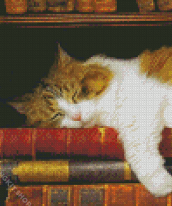 Cute Sleepy Cat And Books Diamond Painting