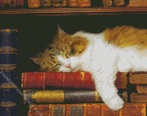 Cute Sleepy Cat And Books Diamond Painting