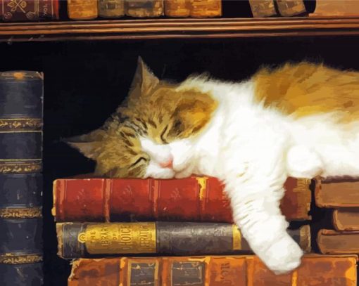 Cute Sleepy Cat And Books Diamond Painting