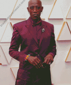 Wesley Snipes In The Oscars Event Diamond Painting