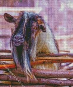 Farm Nigerian Dwarf Goat Diamond Painting