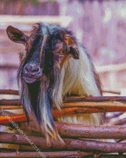 Farm Nigerian Dwarf Goat Diamond Painting