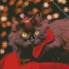 Fluffy Black Cat With Red Bow Tie Diamond Painting