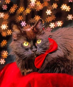 Fluffy Black Cat With Red Bow Tie Diamond Painting