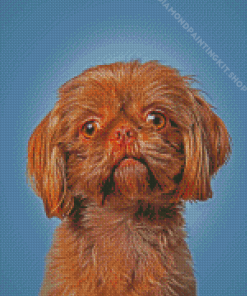 Golden Shorkie Diamond Painting