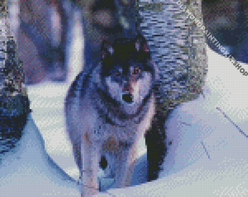 Grey Wolf In Deep Snow Diamond Painting