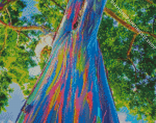 Close Up Rainbow Eucalyptus Tree Diamond Painting