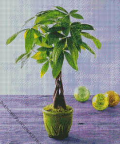 Money Tree Decoration Diamond Painting