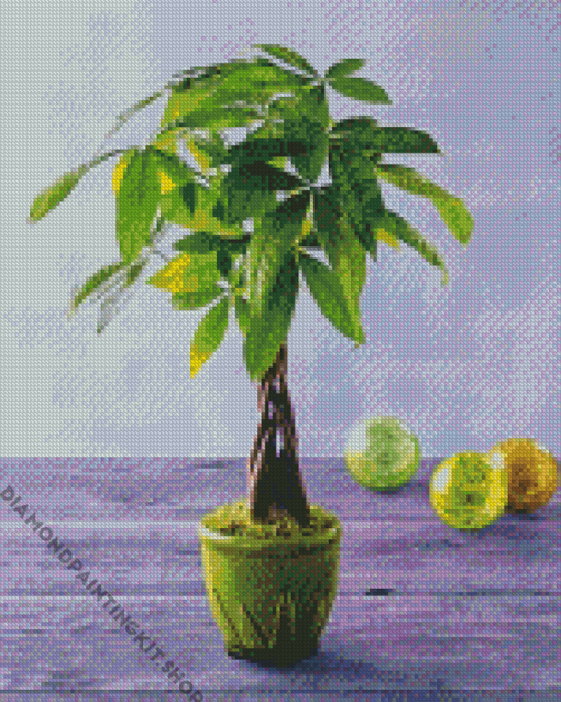 Money Tree Decoration Diamond Painting