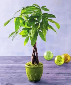 Money Tree Decoration Diamond Painting