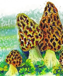 Morel Mushroom Art Diamond Painting