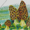 Morel Mushroom Art Diamond Painting