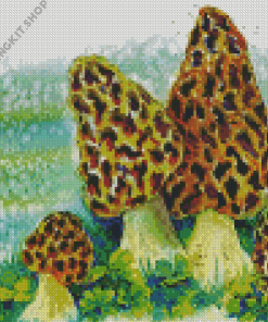 Morel Mushroom Art Diamond Painting