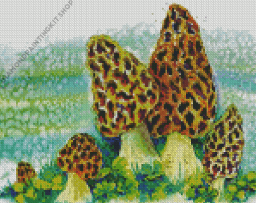 Morel Mushroom Art Diamond Painting