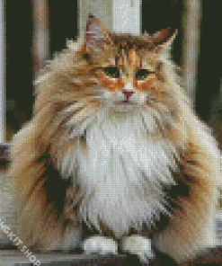 Norwegian Forest Cat Diamond Painting