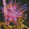 Pink Sea Slug Diamond Painting