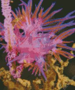 Pink Sea Slug Diamond Painting