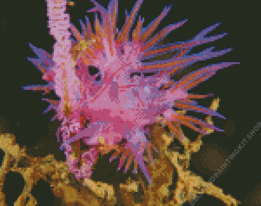 Pink Sea Slug Diamond Painting