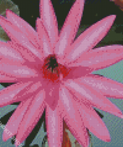 Pink Tiger Lotus Diamond Painting