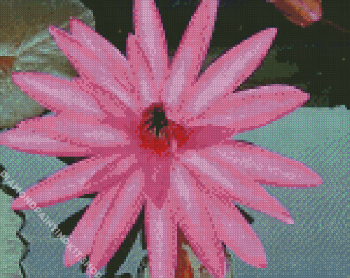 Pink Tiger Lotus Diamond Painting