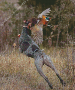 Pointer With Pheasant Diamond Painting