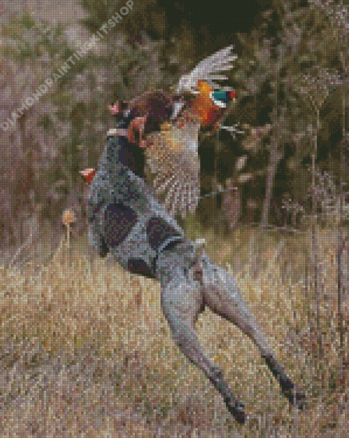 Pointer With Pheasant Diamond Painting