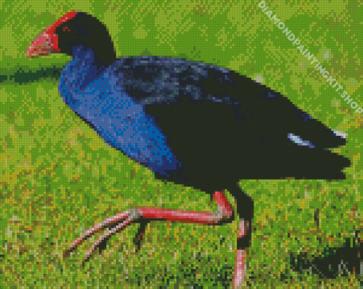 Pukeko Bird Diamond Painting