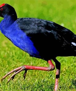 Pukeko Bird Diamond Painting