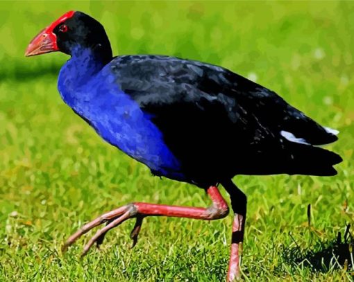 Pukeko Bird Diamond Painting