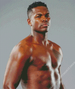 Remy Bonjasky Diamond Painting