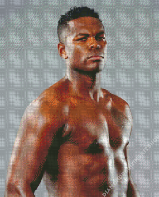 Remy Bonjasky Diamond Painting