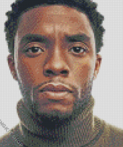 Rip Chadwick Boseman Diamond Painting