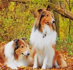 Rough Collies Diamond Painting