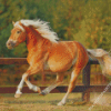 Running Haflinger Horse Diamond Painting