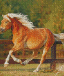 Running Haflinger Horse Diamond Painting