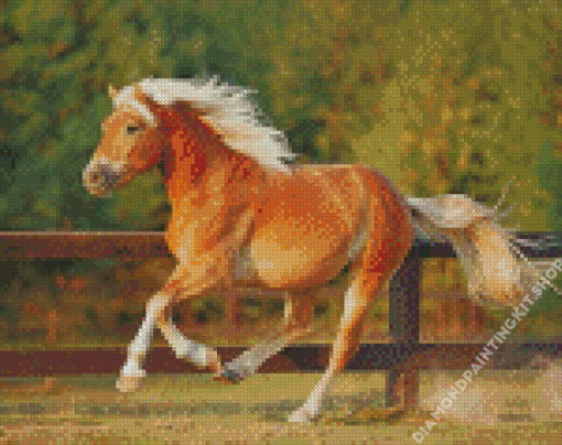 Running Haflinger Horse Diamond Painting