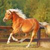 Running Haflinger Horse Diamond Painting