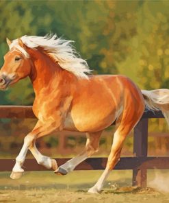 Running Haflinger Horse Diamond Painting