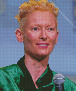 The Actress Tilda Swinton Diamond Painting