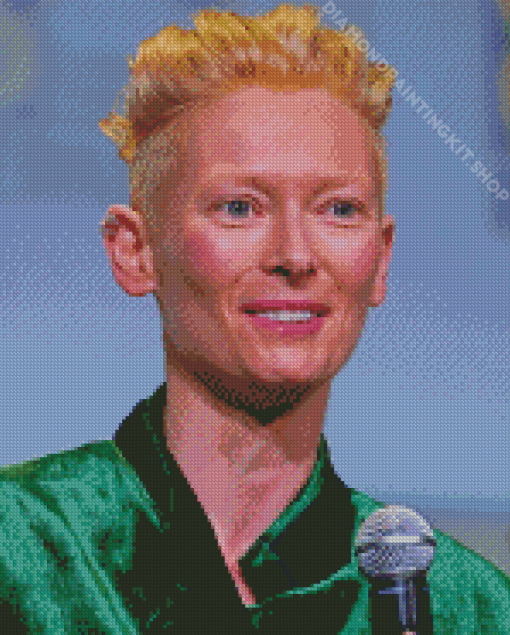 The Actress Tilda Swinton Diamond Painting