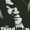 The Third Man Poster Diamond Painting