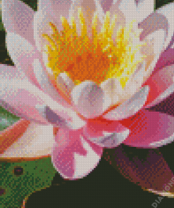 White Pink Tiger Lotus Diamond Painting