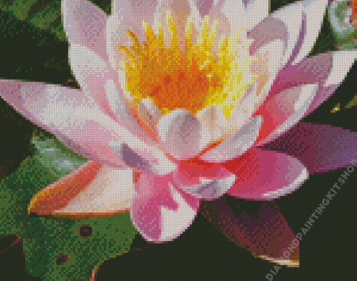 White Pink Tiger Lotus Diamond Painting