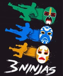 3 Ninjas Art Diamond Painting