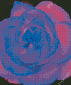 Blue And Purple Flower Rose Diamond Painting