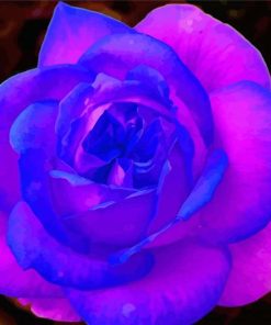 Blue And Purple Flower Rose Diamond Painting