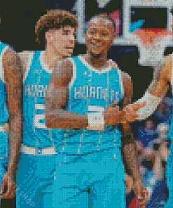 Charlotte Hornets Basketball Players Diamond Painting