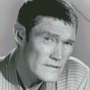 Chuck Connors Diamond Painting